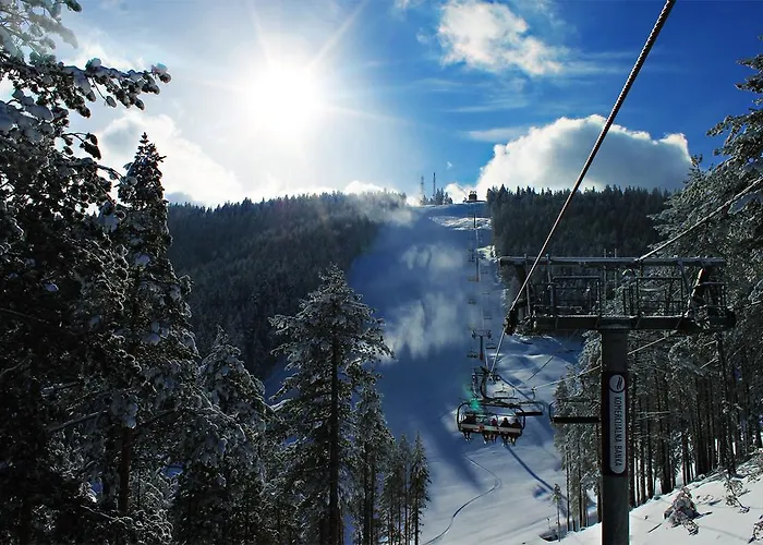 Md * ズラティボール